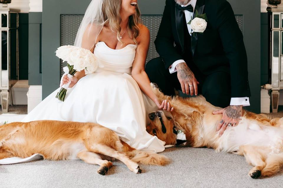 Daisy Bell Photography