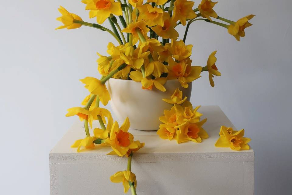 Pedestal Arrangements