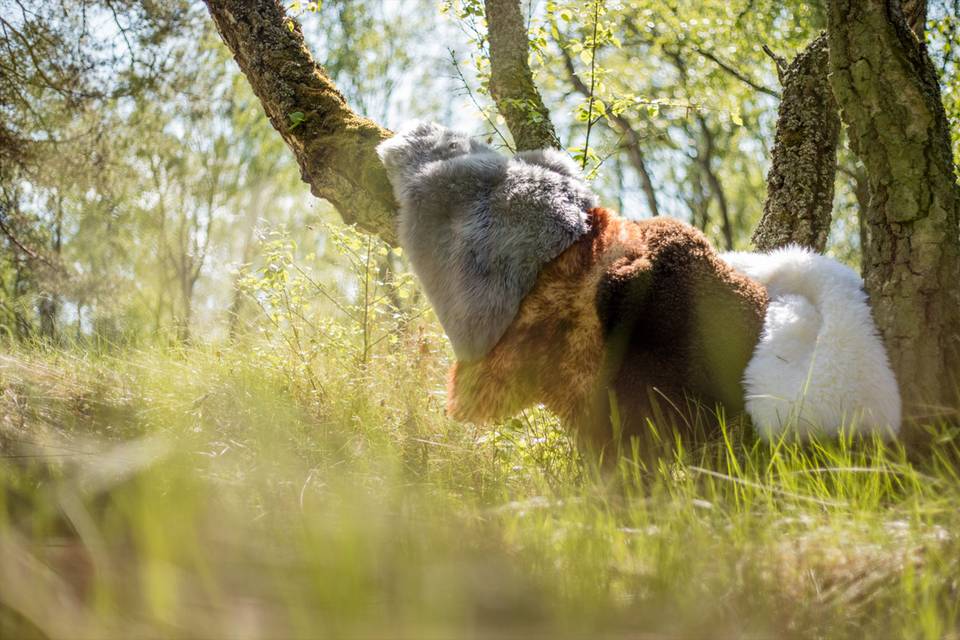Simply Sheepskin