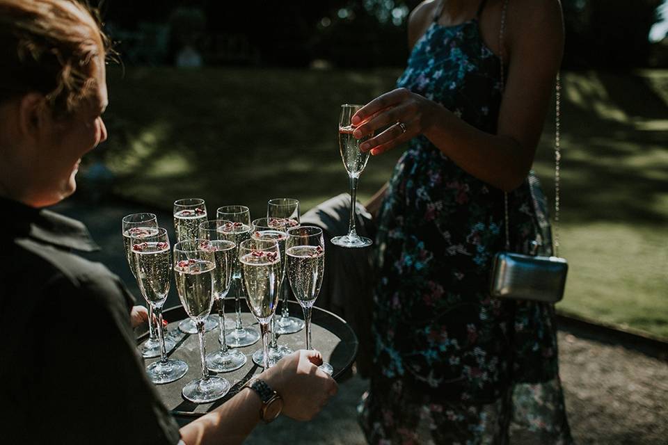 Drinks Reception in the Gardens