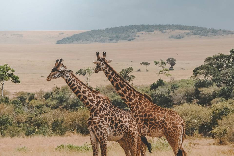 Luxury travel for two