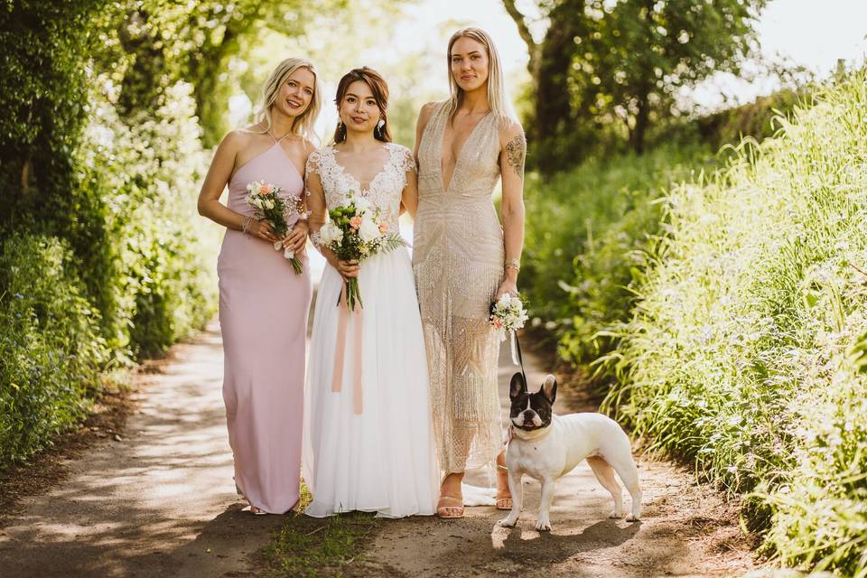 Bride, bridesmaids and dog