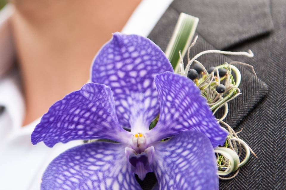 Vanda Orchid button hole