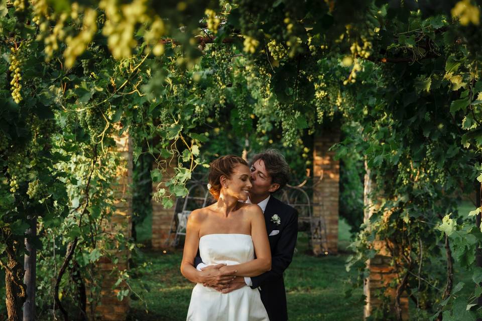 Under the vine of the tenuta