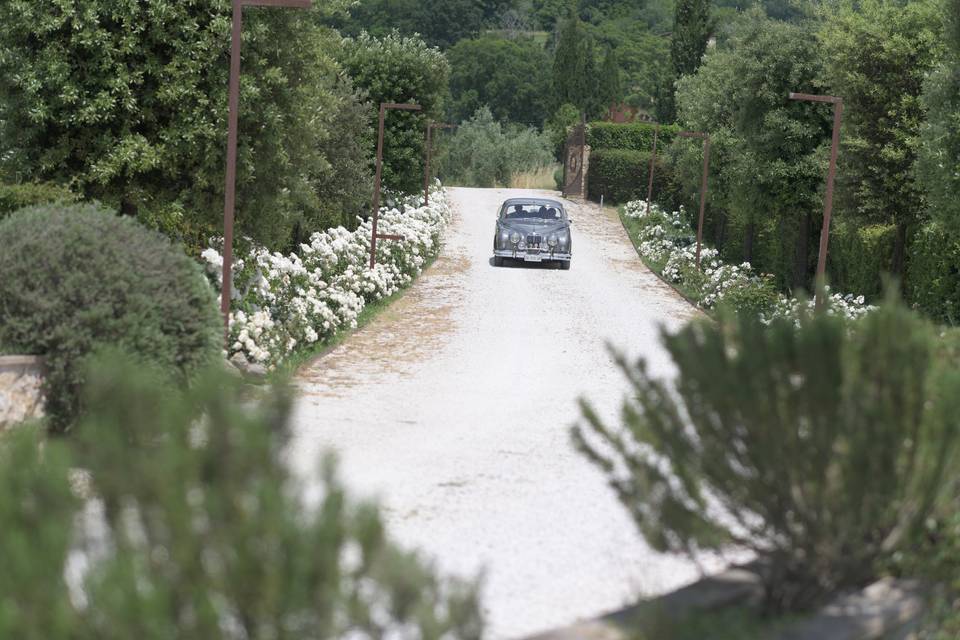 Entering Tenuta