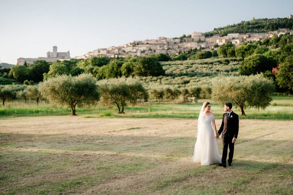 Assisi countryside