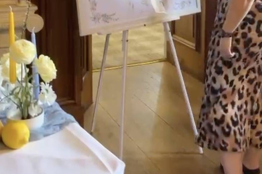 Illustrated seating plan