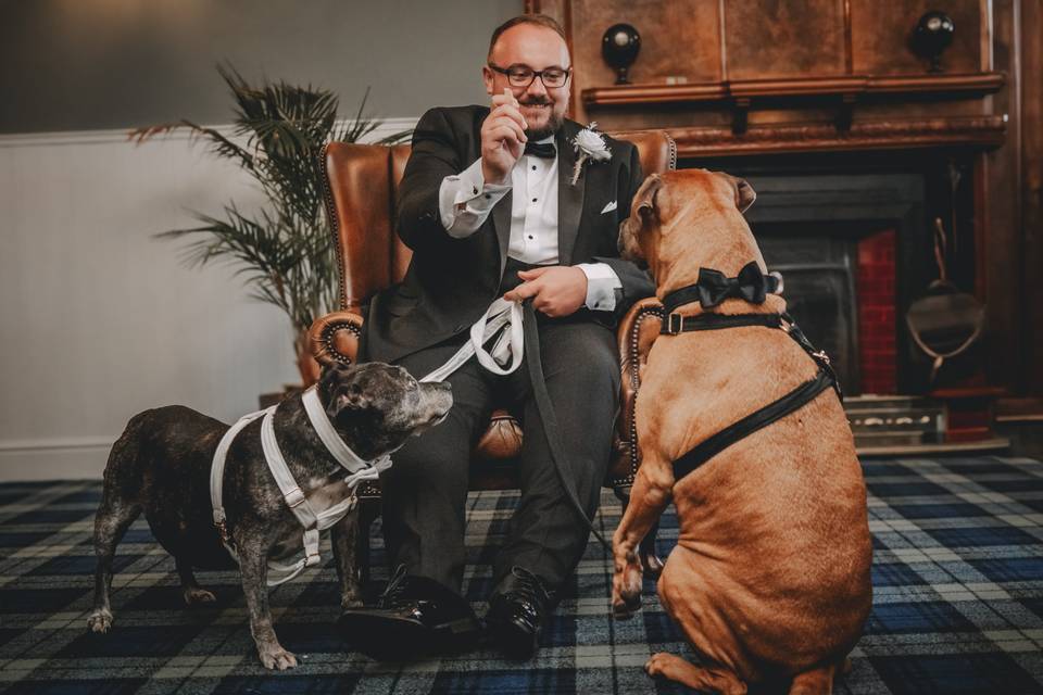 A man and his dogs