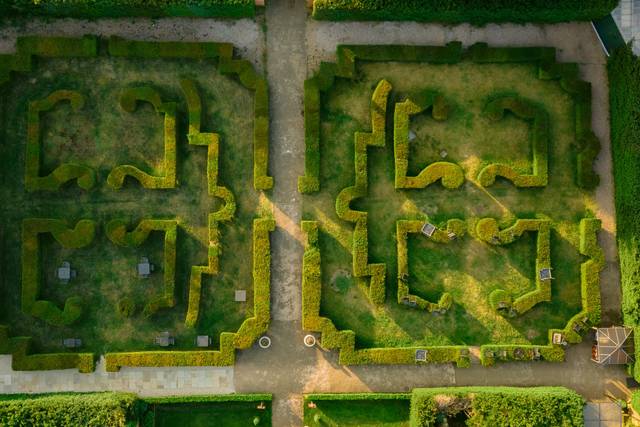 The Maze
