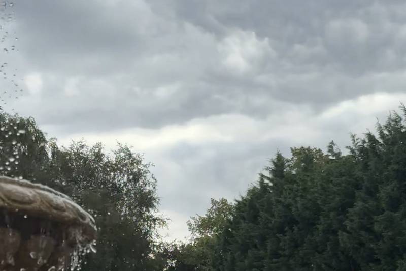 Our Gardens