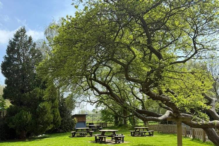 The Tollgate Hotel Bramber