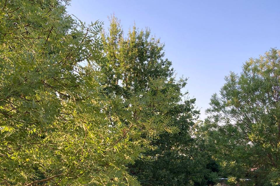 Cocktail party in the garden