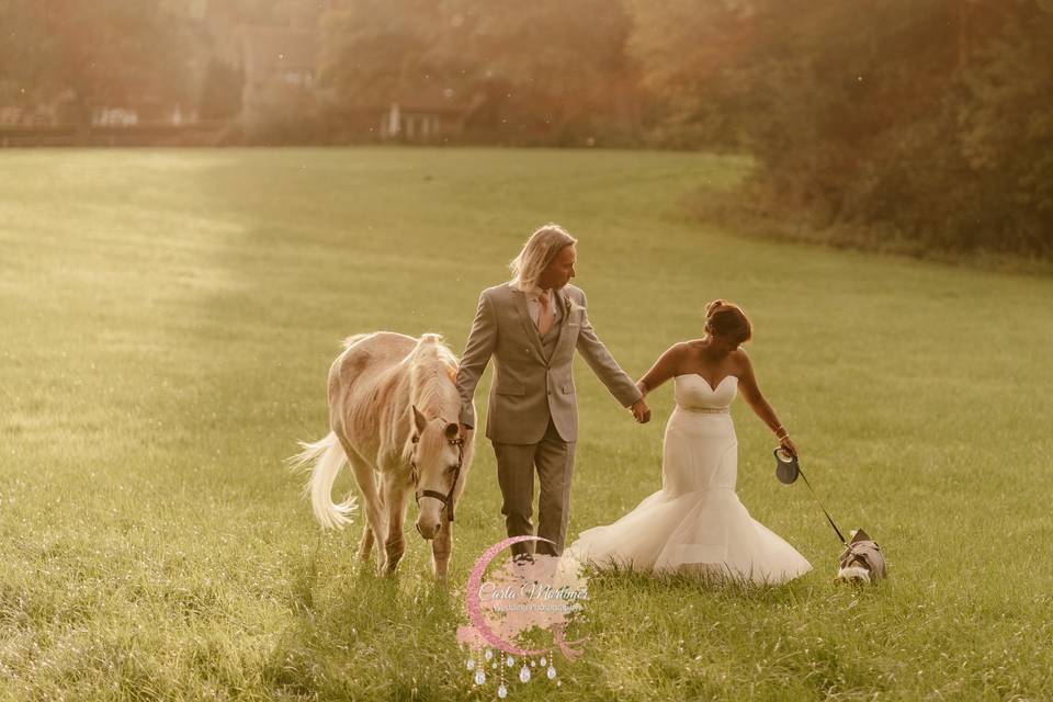 Bride and her pets