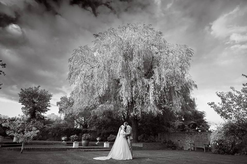 Weeping willow