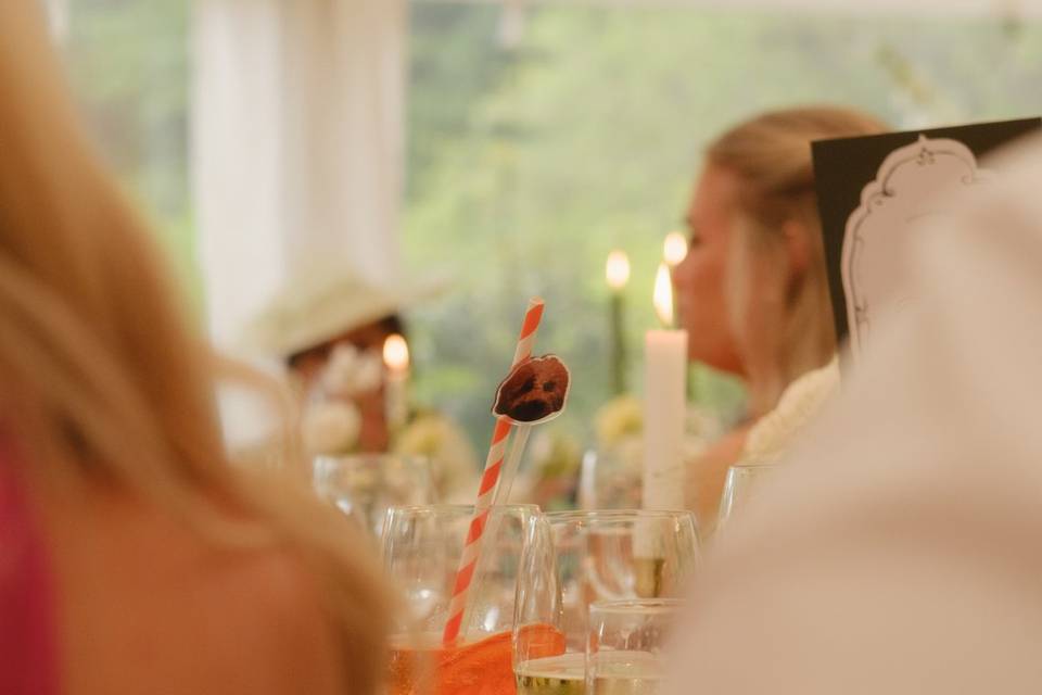 Elsick House Wedding