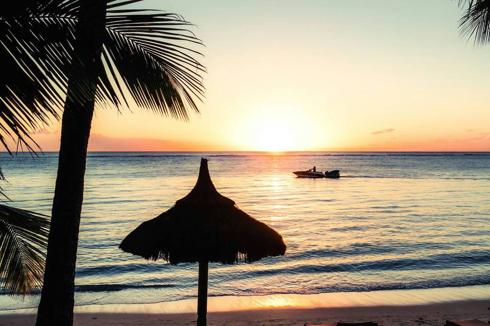 Tropical