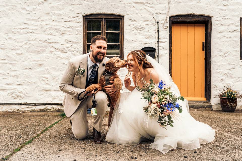 Glyngynwydd Wedding Barn and Cottages