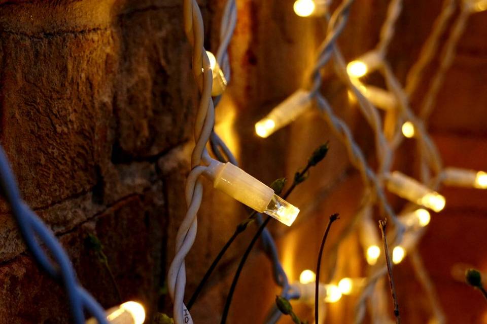 Fairy lights