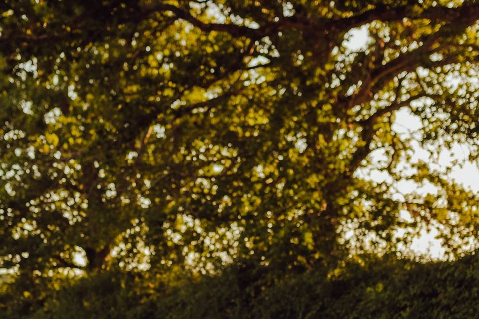 Paula Anna Photography