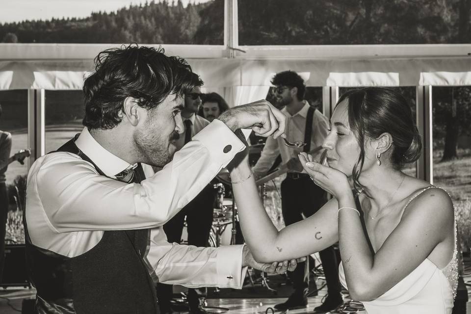 Marquee Cake Celebrations