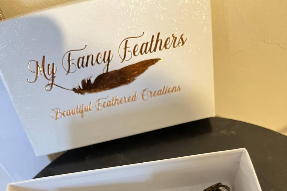 Feather bow tie in a box