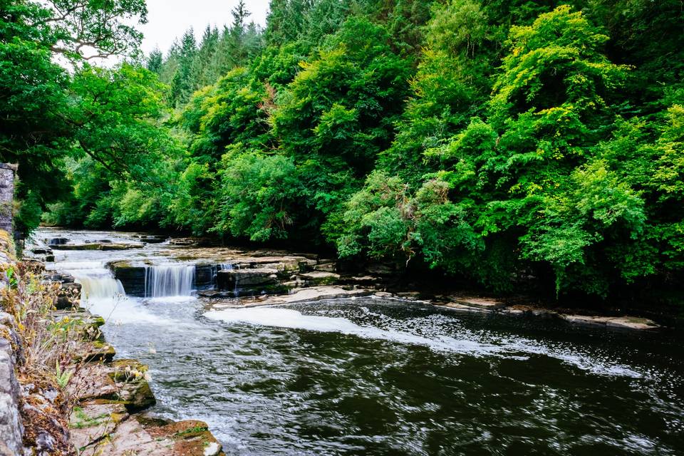 Falls of Clyde