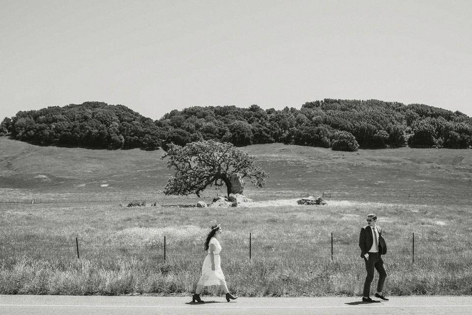 Couple at San Fransisco elopement