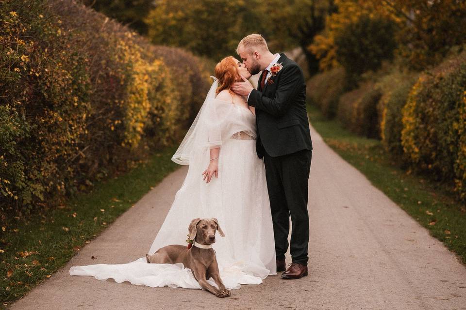 The Doghouse Collective Chaperone Service