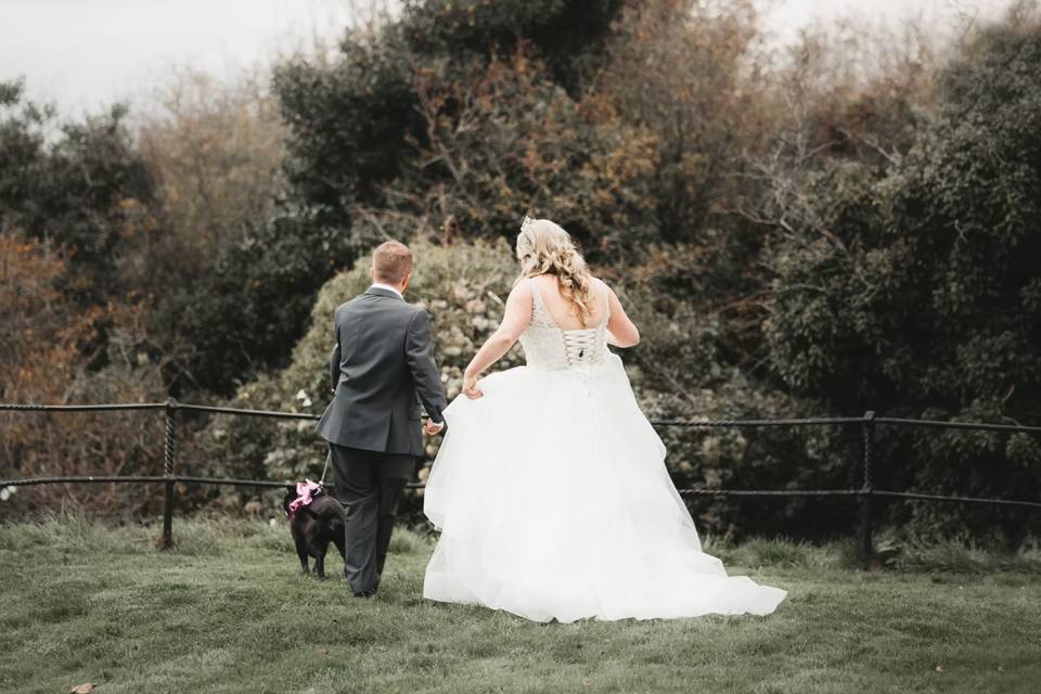 Pet Friendly Wedding