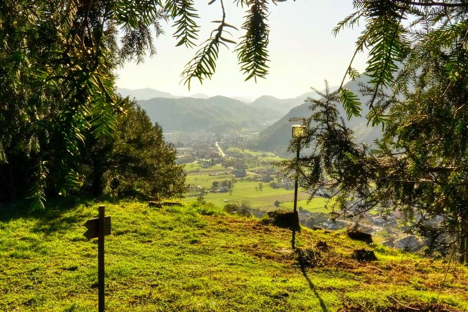 CastelBrando Forest