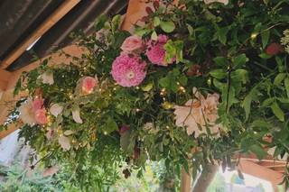 The Twisted Florist
