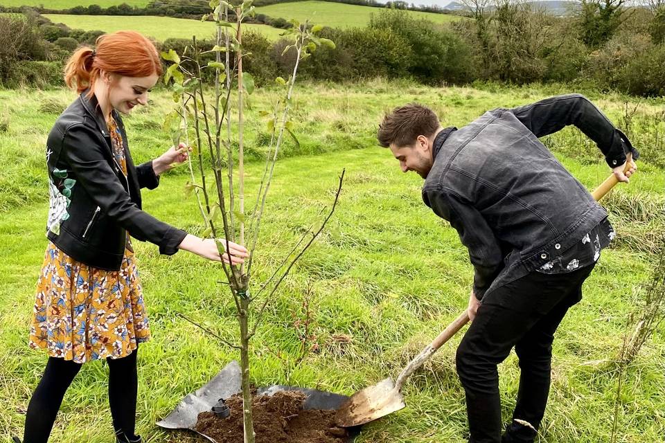 A memory tree is planted