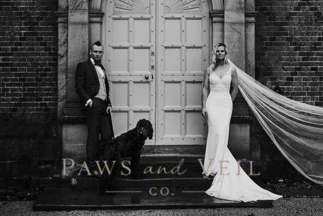Wedding couple and their dog