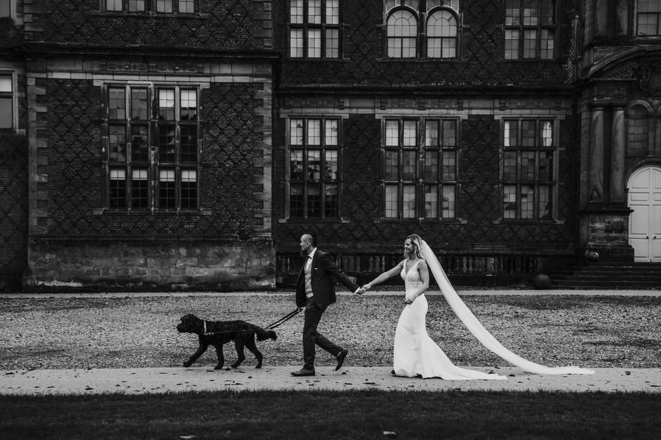 Paws and Veil Co - Dog Wedding Chaperone