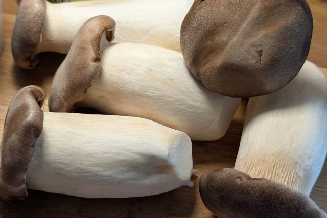 King Oyster Mushrooms