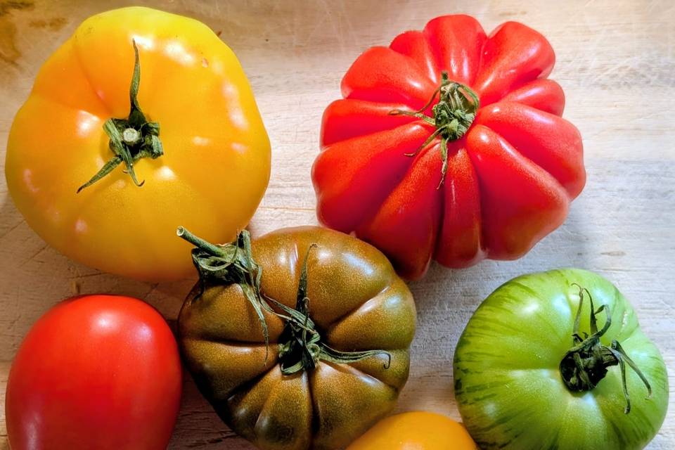 Heritage Tomatoes