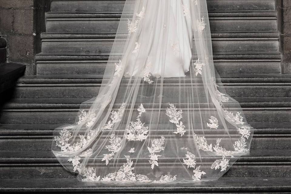 Dress Dreams Veils