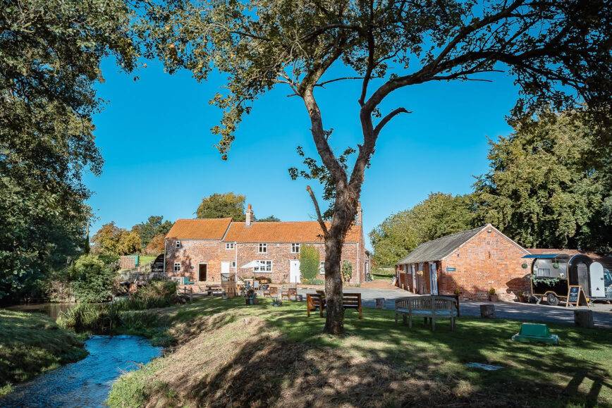 The mill in summer glory