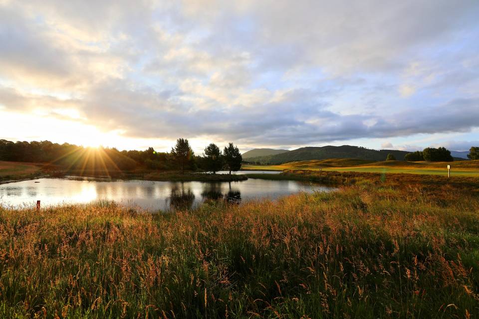 Sun on the pond