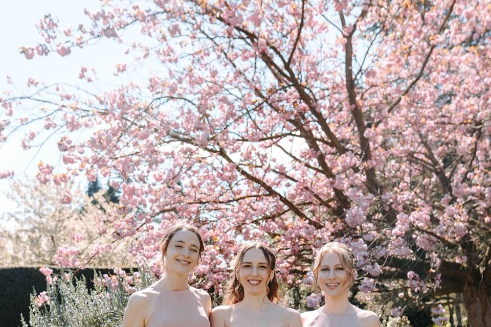 Seasonal flowers