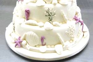 Seashell Wedding Cake