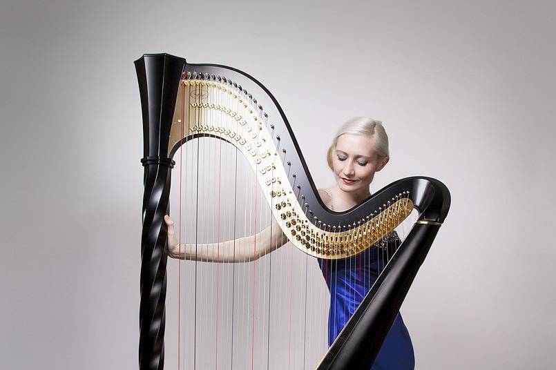Cheshire Harpist