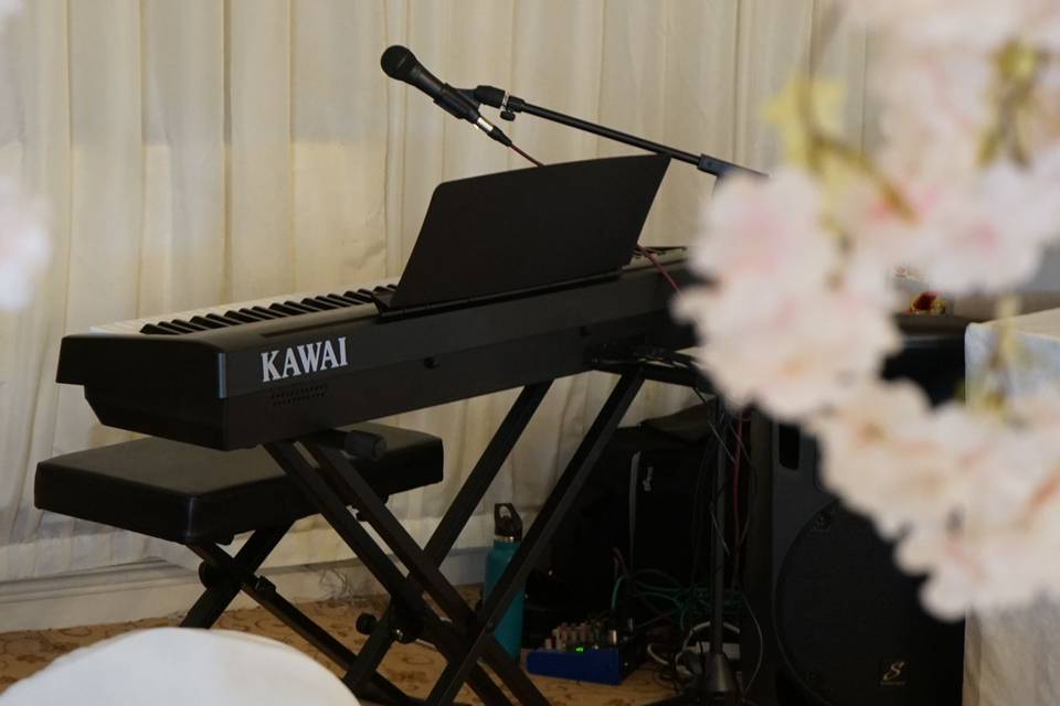 Wedding singer & piano player