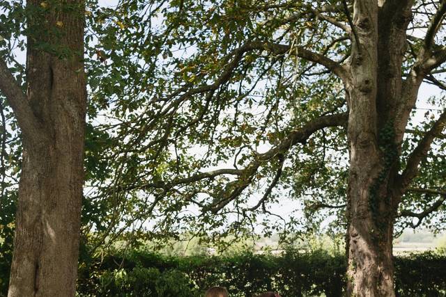J&E wedding