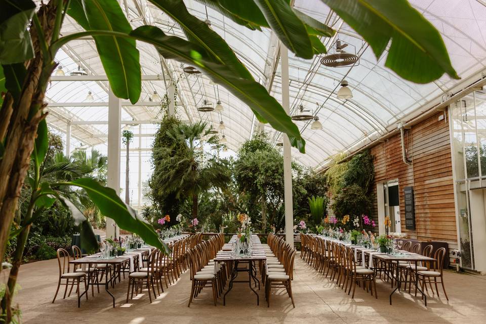 The Glasshouse