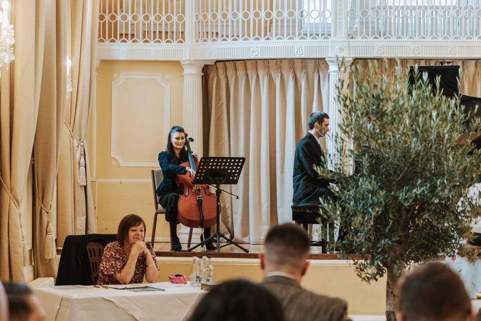 Performing at a wedding