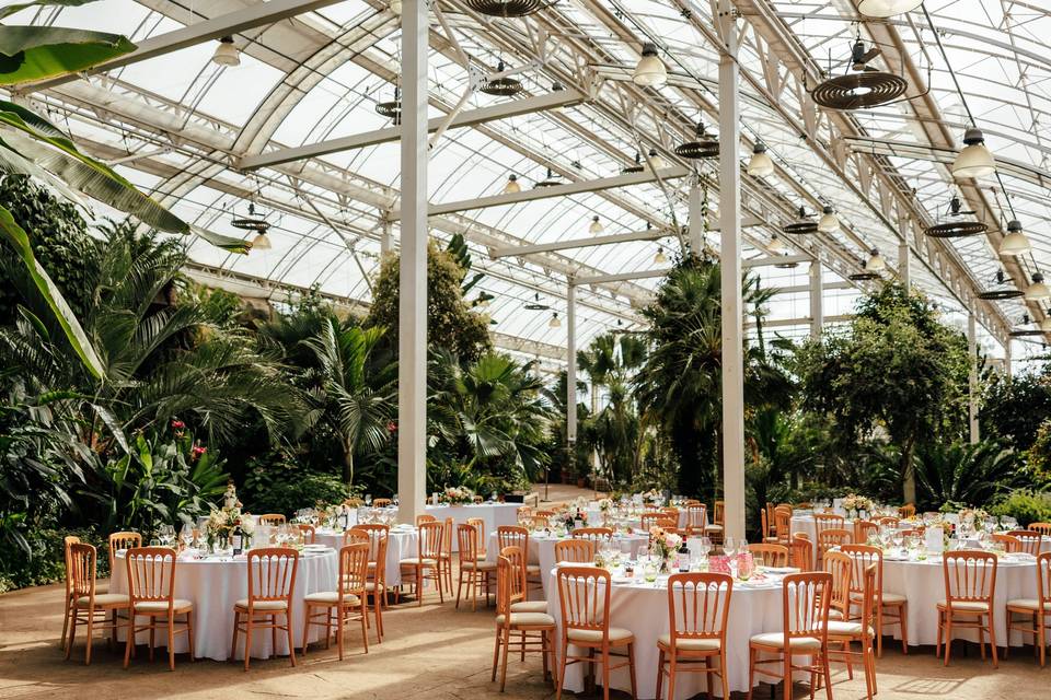 The Glasshouse