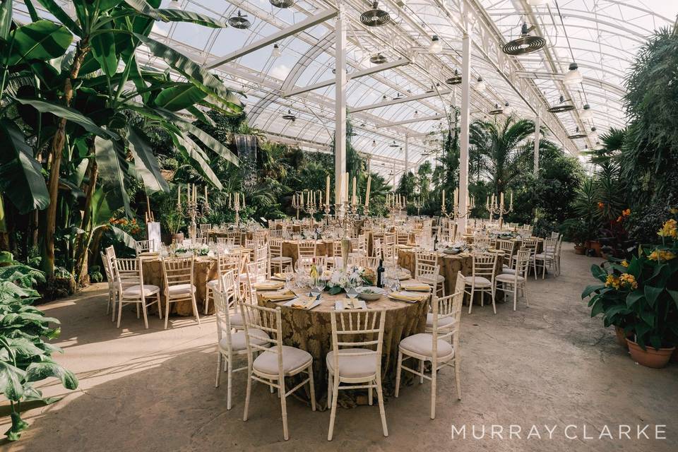 RHS Garden Wisley Glasshouse Interior