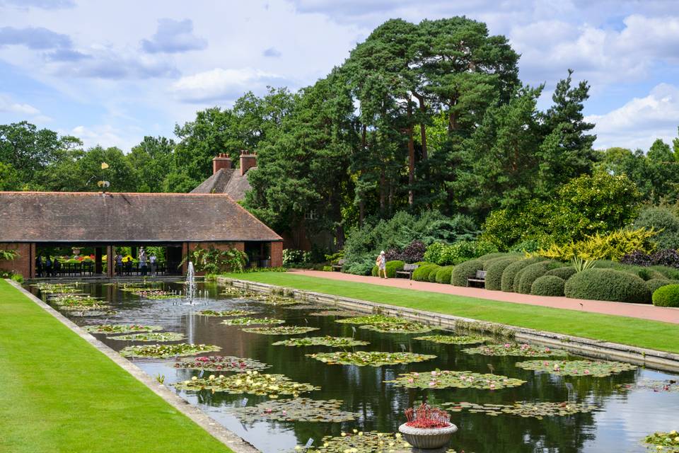The Waterlily Pavilion