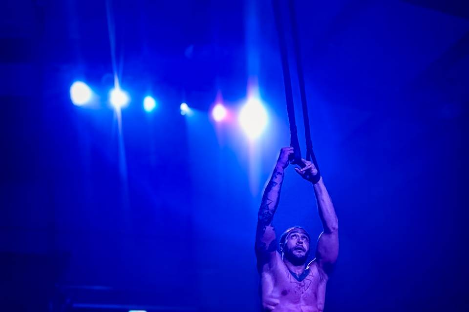 Male Aerialists